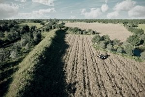 3d exterior visualization